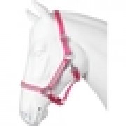Halster  Diamant  Pony -  - 17.31